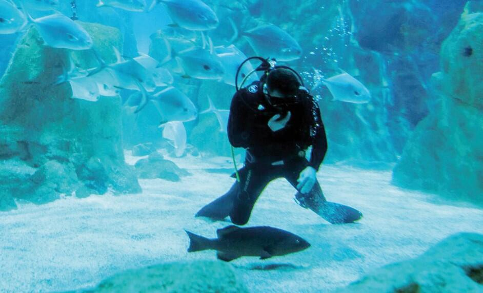 Ekmek Jaws’ın ağzında: Ortalama maaşları 5 bin 500 lira