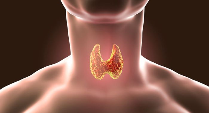 Haşimoto Tiroidi İle İlgili 5 Gerçeken YENİ MEDYA