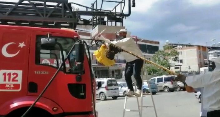 Acil servisi arılar bastı, itfaiye şekerli suyla topladı