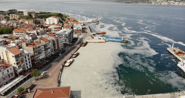 Bilim insanları Marmara Denizi’ndeki müsilaj sorununa acil çözüm için YÖK’te toplanacak