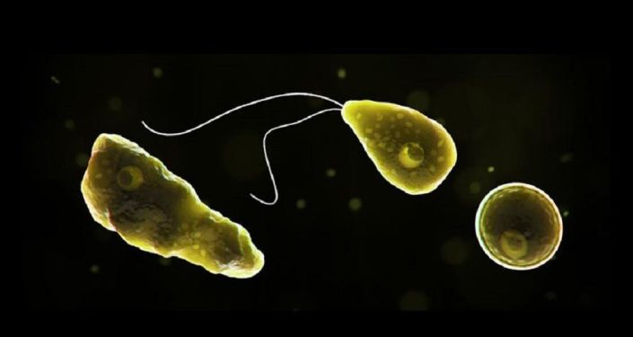 Global ısınma ‘beyin yiyen amiplerin’ sayısını artırabilir