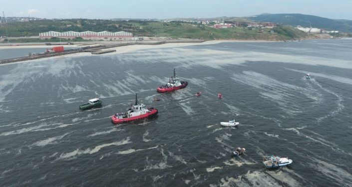 İstanbul Üniversitesi, müsilajı temizlemek için deniz bakterilerini kullanacak