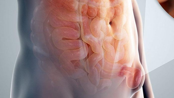 Kasık Fıtığı, İnmemiş Testis ve Sünnet tedavisi