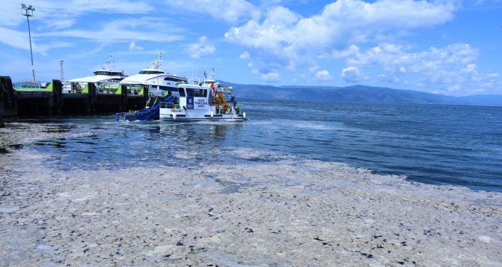 Mavi bayraklı plaj da salya istilasında