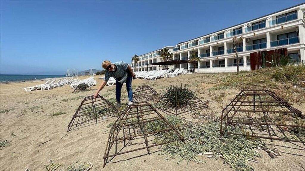 Antalya’da müdafaa altındaki kum zambaklarına ziyan verildi