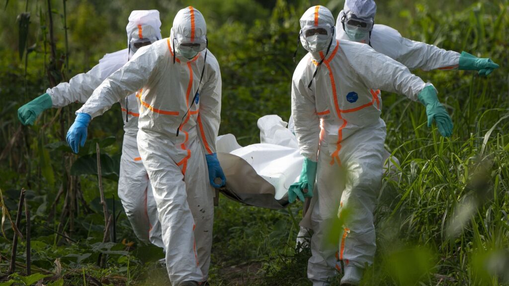 Kongo’da Ebola salgını ilan edildi