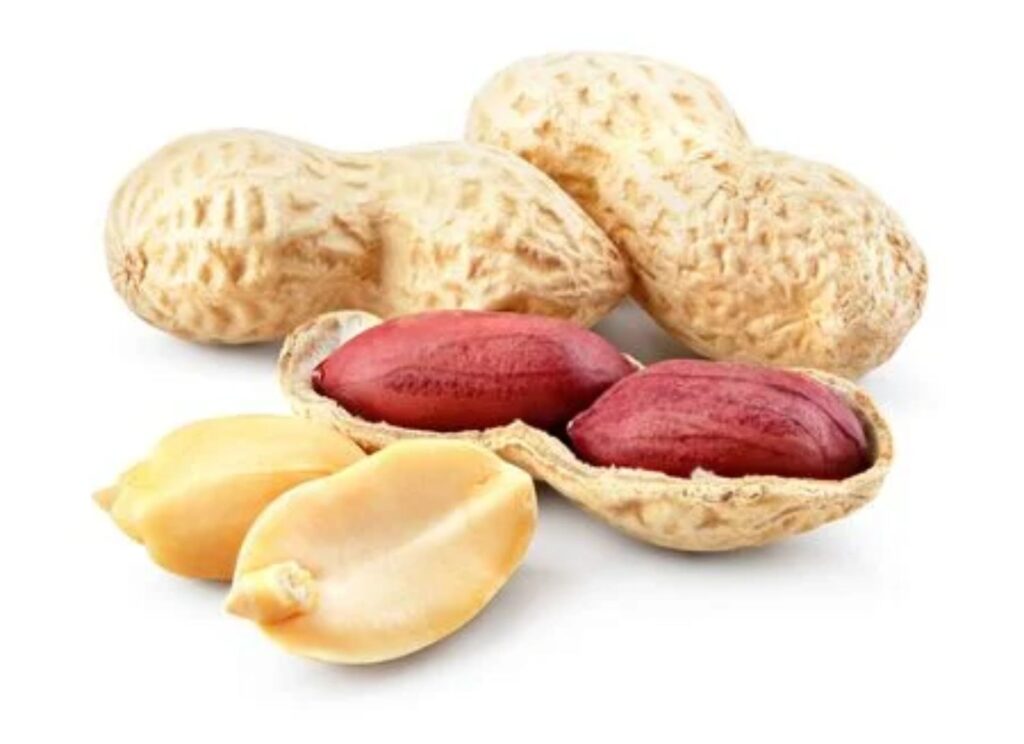 her gün severek yediğimiz yer fıstık nasıl yetişiyor çiftçi kamil abi