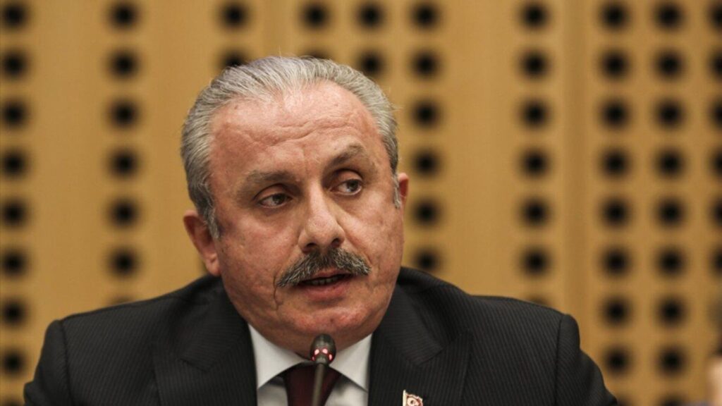 Şentop: Çok sesliliği yansıtan özgür basın, demokrasinin olmazsa olmaz ögesidir